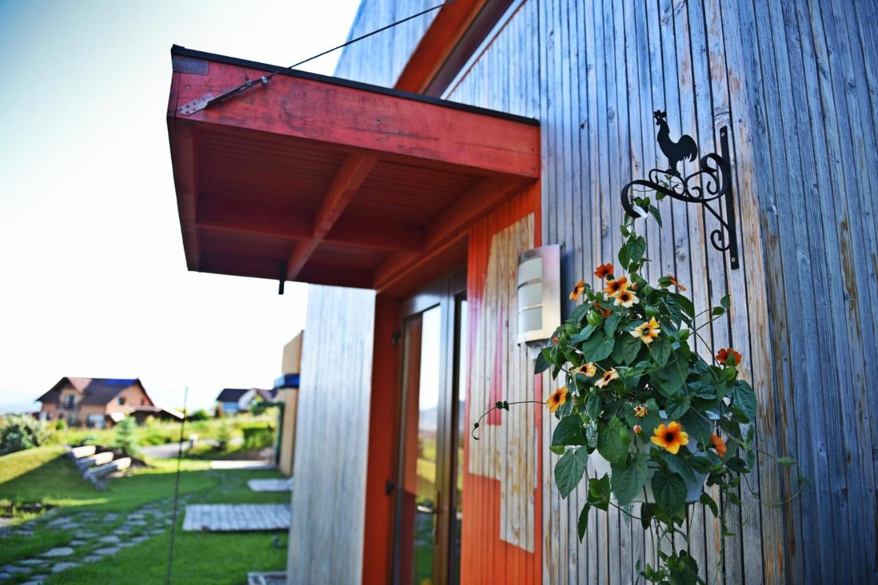 奥多尔黑塞库耶斯克Horizont Panzio住宿加早餐旅馆 外观 照片